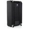 Басовый кабинет AMPEG SVT-810E :: Фото 3